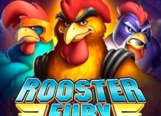 rooster fury Endorphina